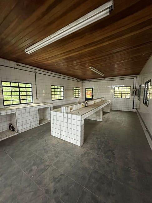 Imagem 11 - 70807246