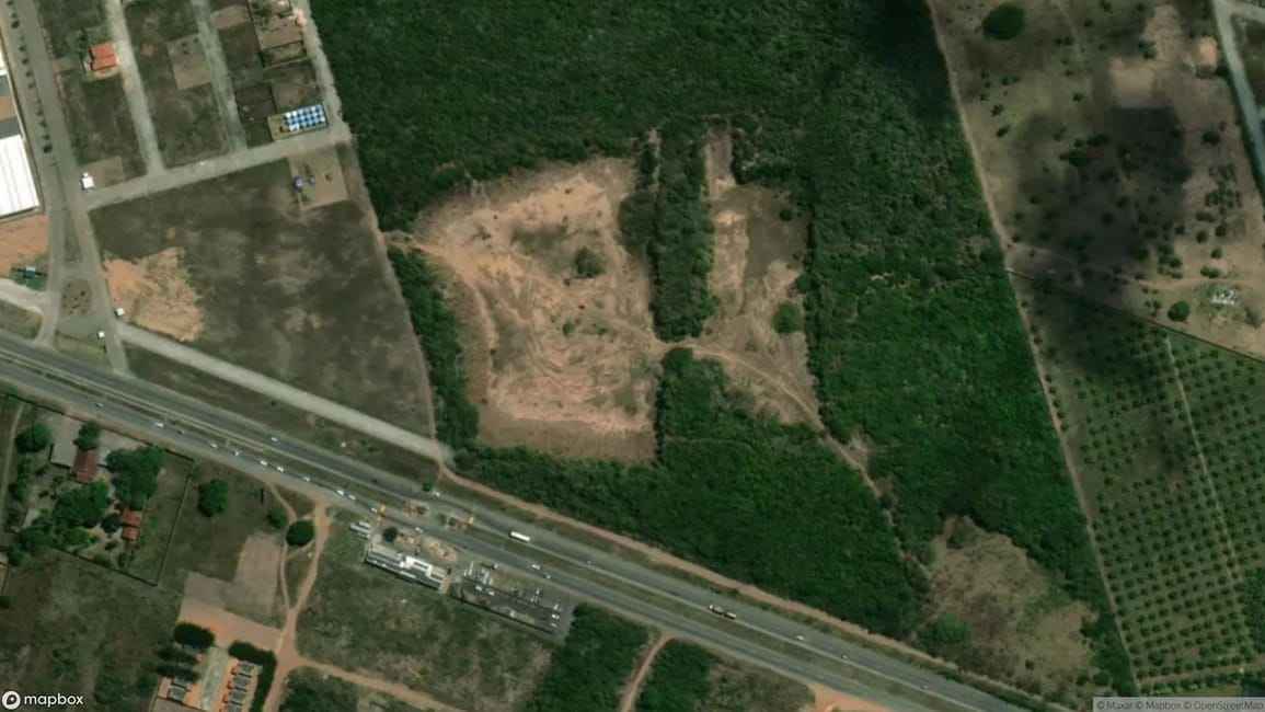 Imagem 11 - 73540153