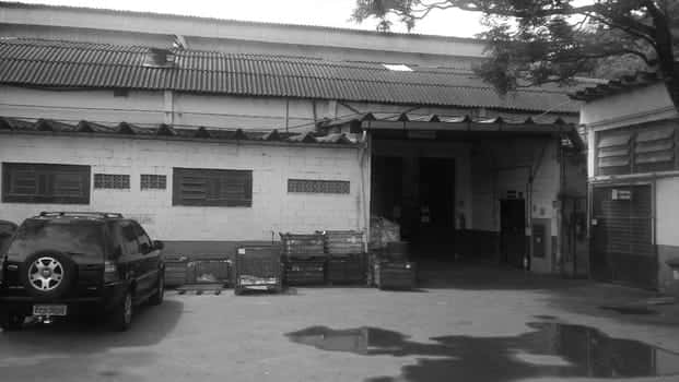 Galpão em Diadema/SP