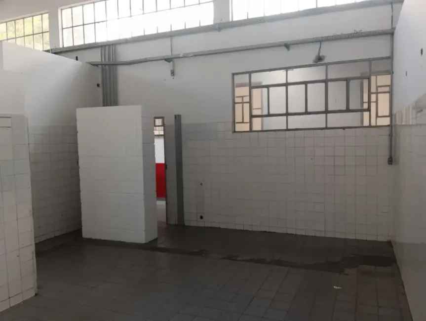 Imagem 50 - 35007937