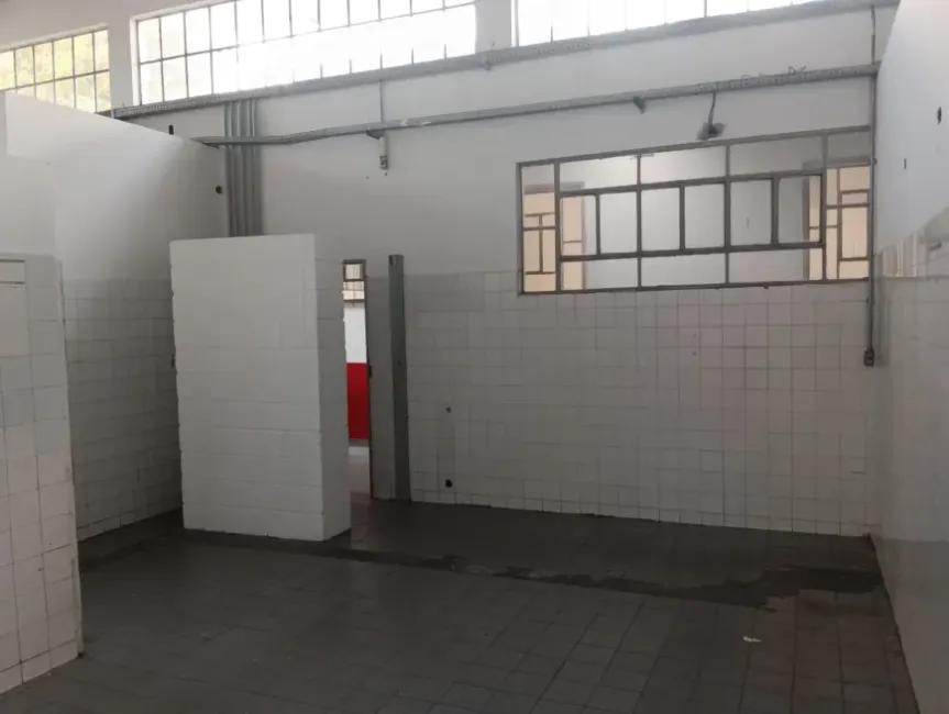 Imagem 50 - 35007937