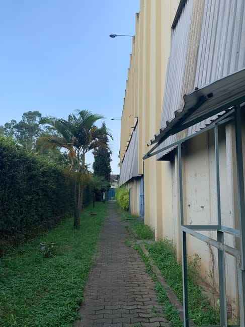 Imagem 49 - 35007020