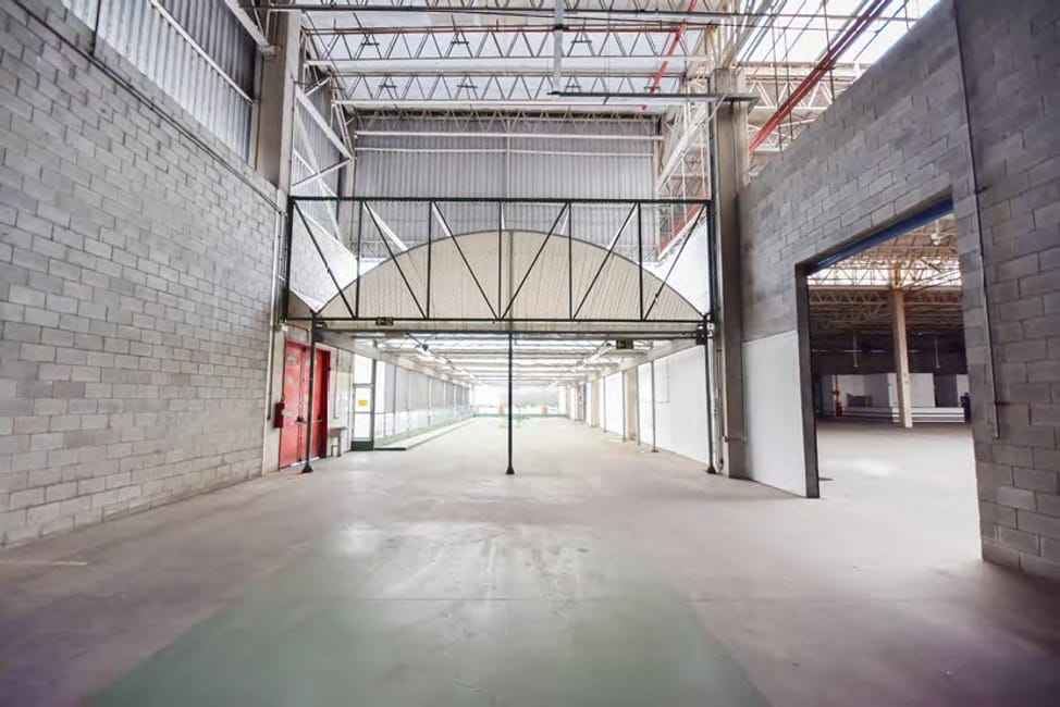 Imagem 12 - 35006925