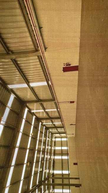 Imagem 12 - 35007902