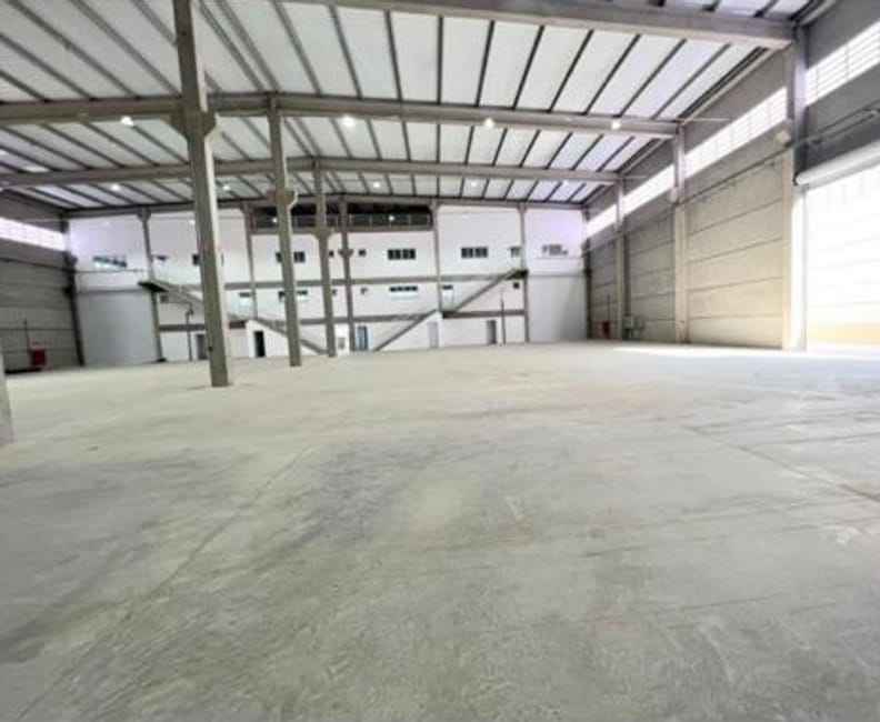 Imagem 16 - 71370881