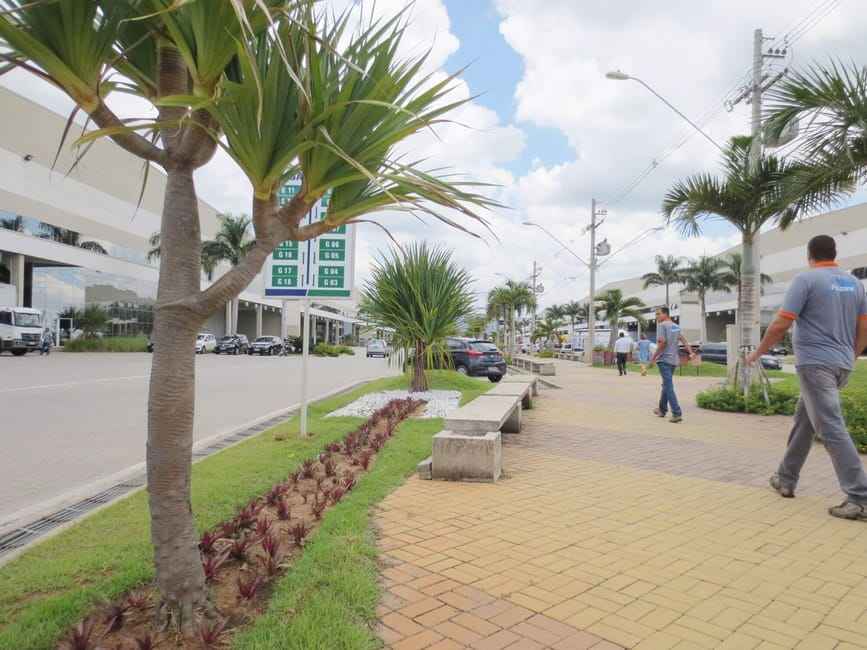 Imagem 13 - 35003472