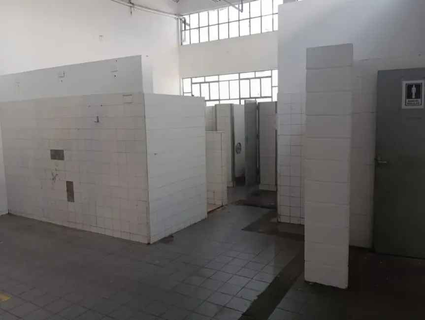 Imagem 56 - 35007937