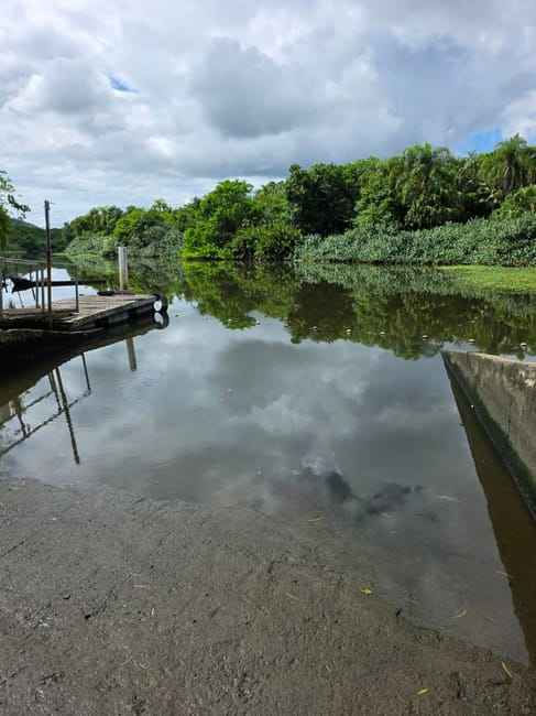 Imagem 14 - 35008923