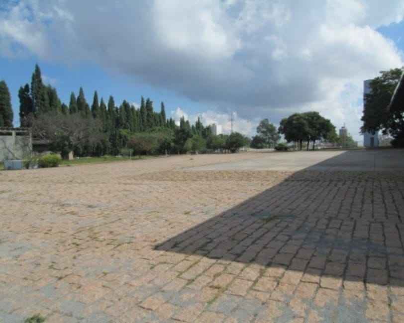 Imagem 16 - 32059016