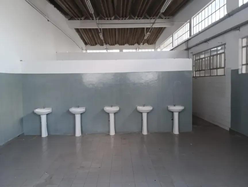 Imagem 57 - 35007937