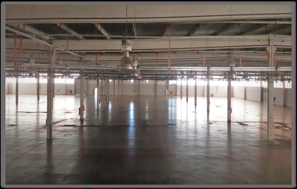 Imagem 11 - 35002654