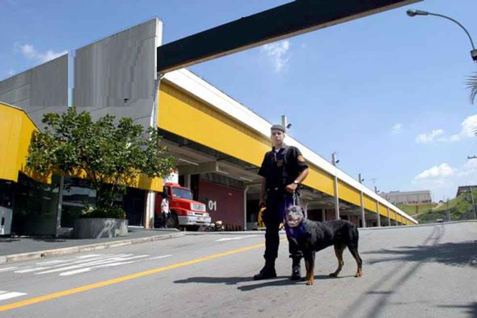 Imagem 19 - 32058284