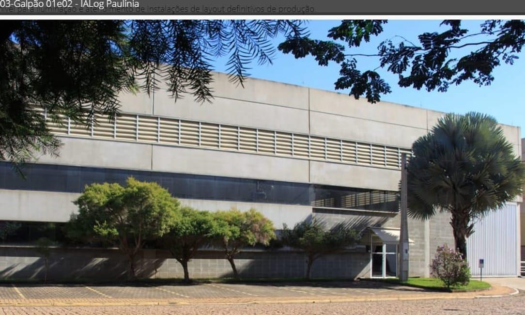 Imagem 11 - 74259457