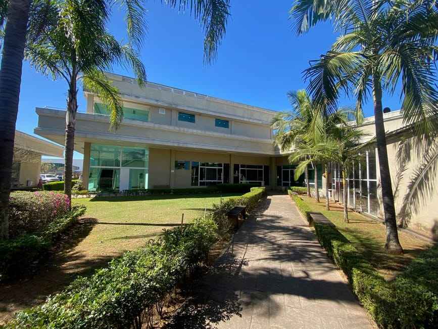 Imagem 20 - 32058687