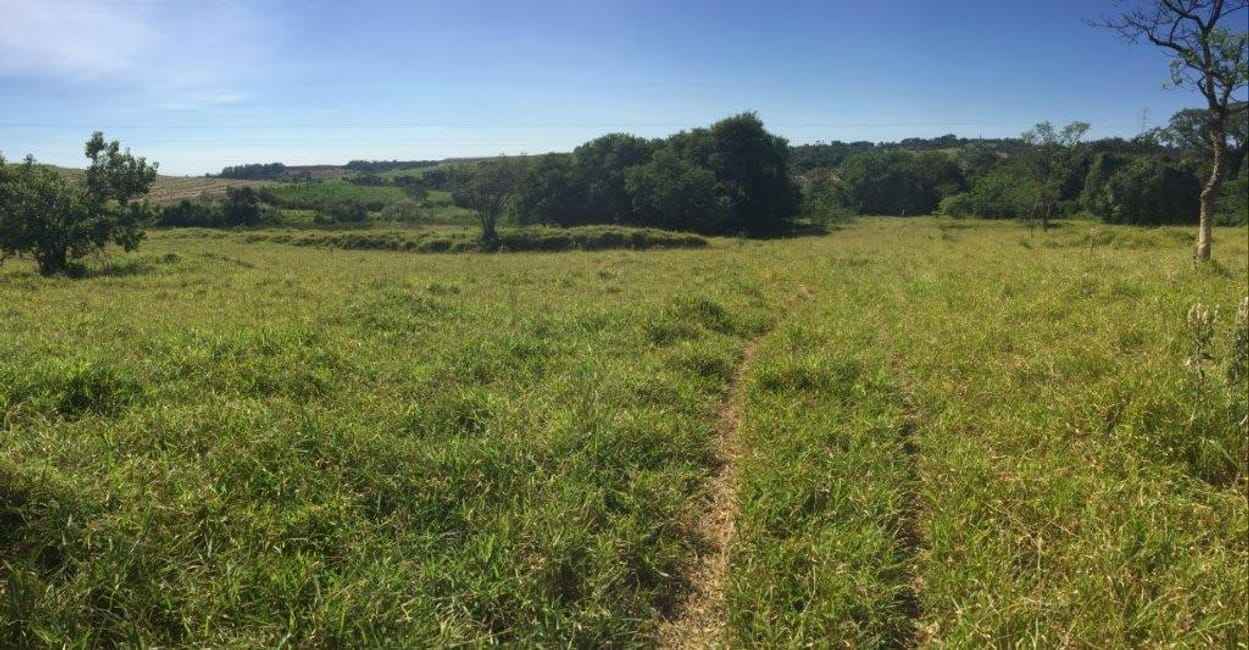 Imagem 20 - 33186729