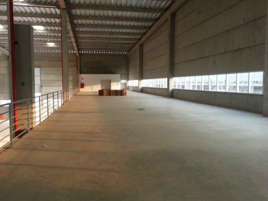 Imagem 41 - 35003472