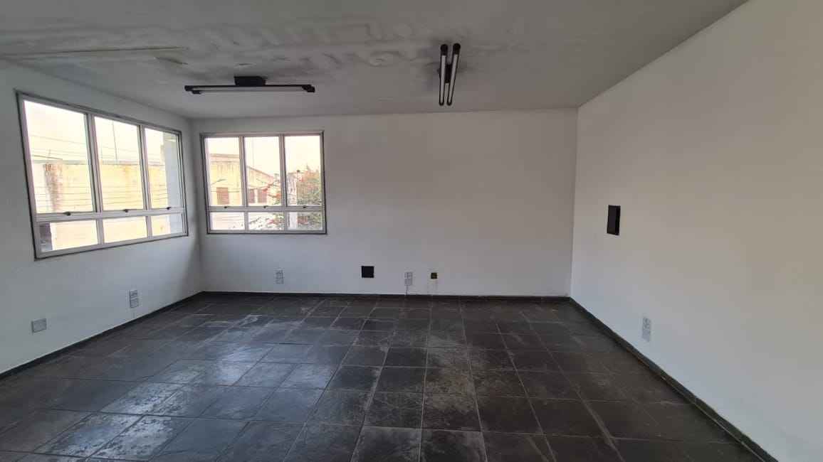 Imagem 11 - 74799930