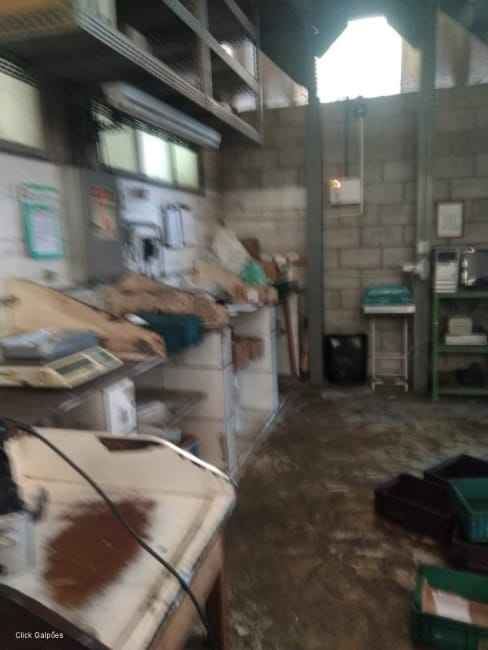 Imagem 14 - 70994469