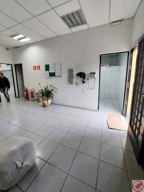 Imagem 11 - 73248290