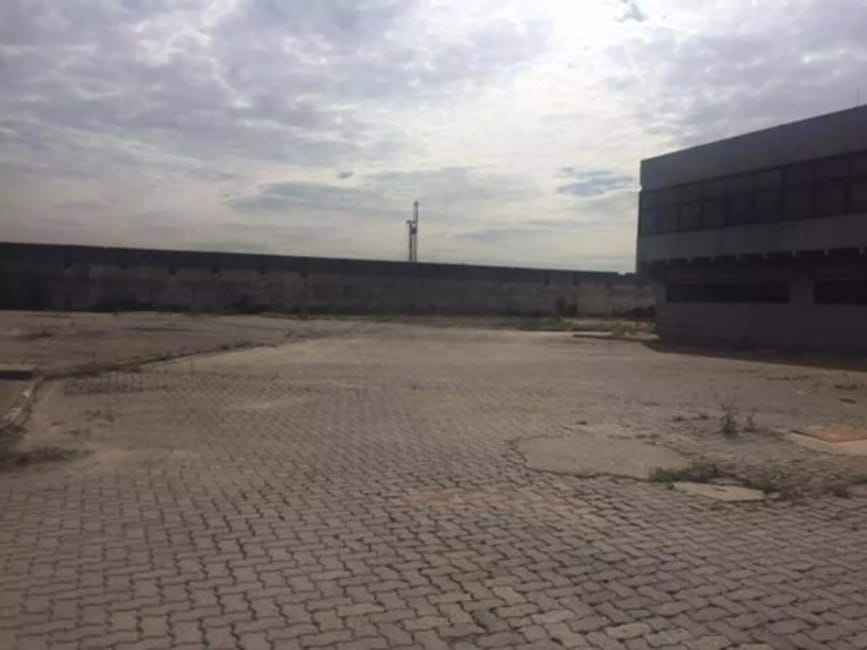 Imagem 11 - 35006593