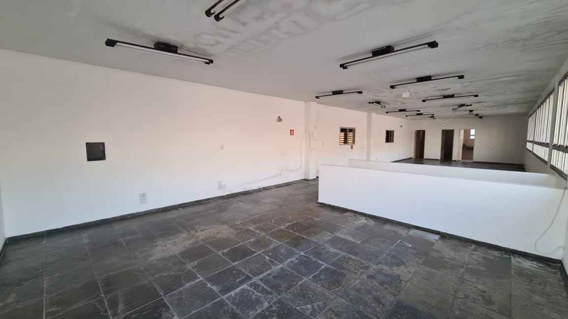 Imagem 14 - 74799930