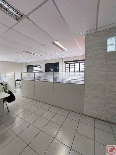 Imagem 14 - 73248290