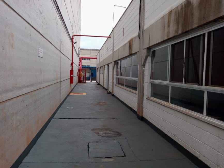 Imagem 17 - 32059250