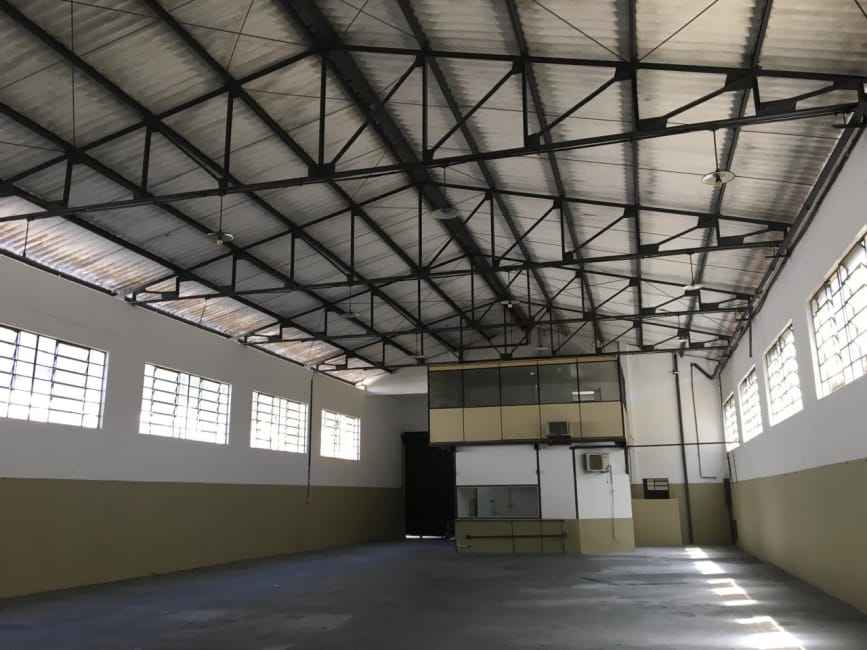 Imagem 13 - 35008340