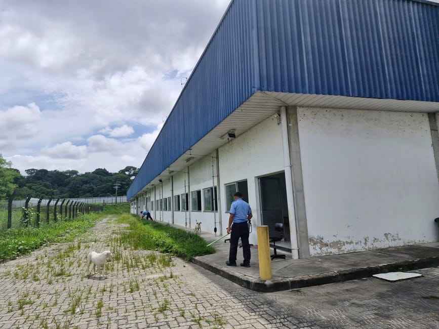 Imagem 11 - 35007444