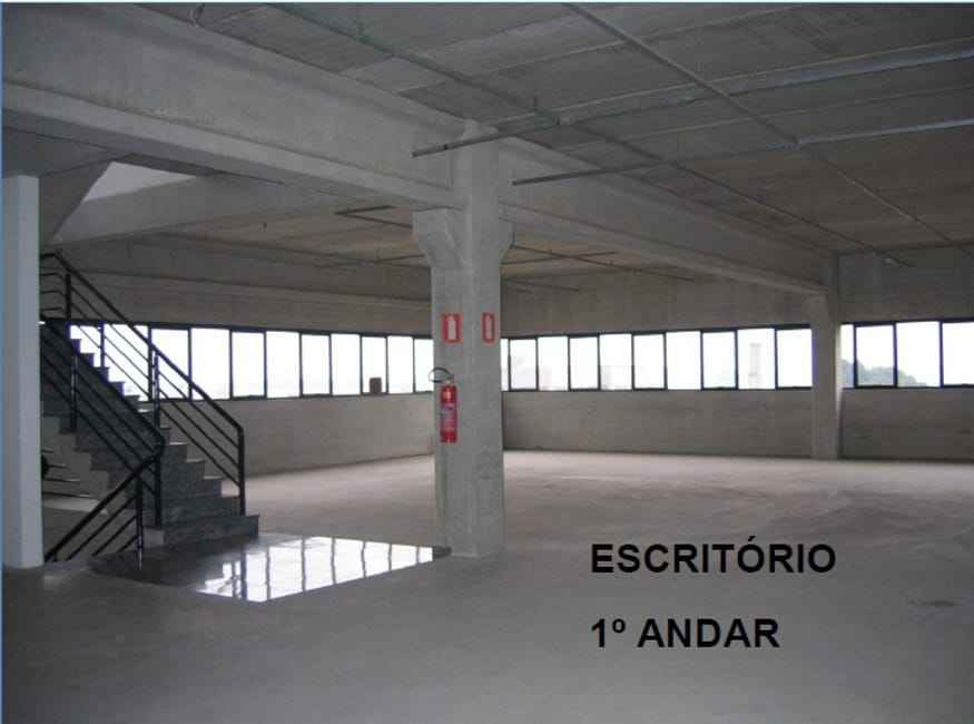 Imagem 12 - 74259341