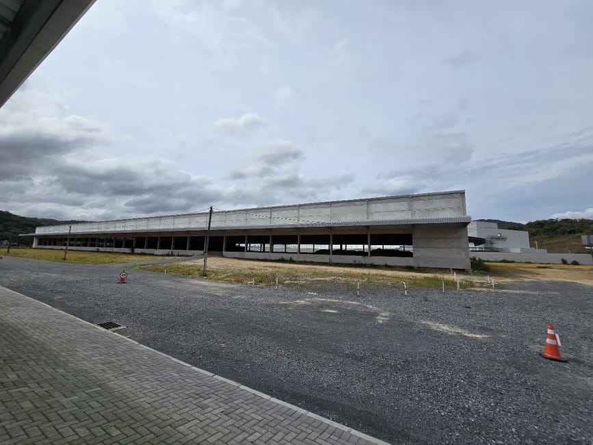 Imagem 16 - 35007804