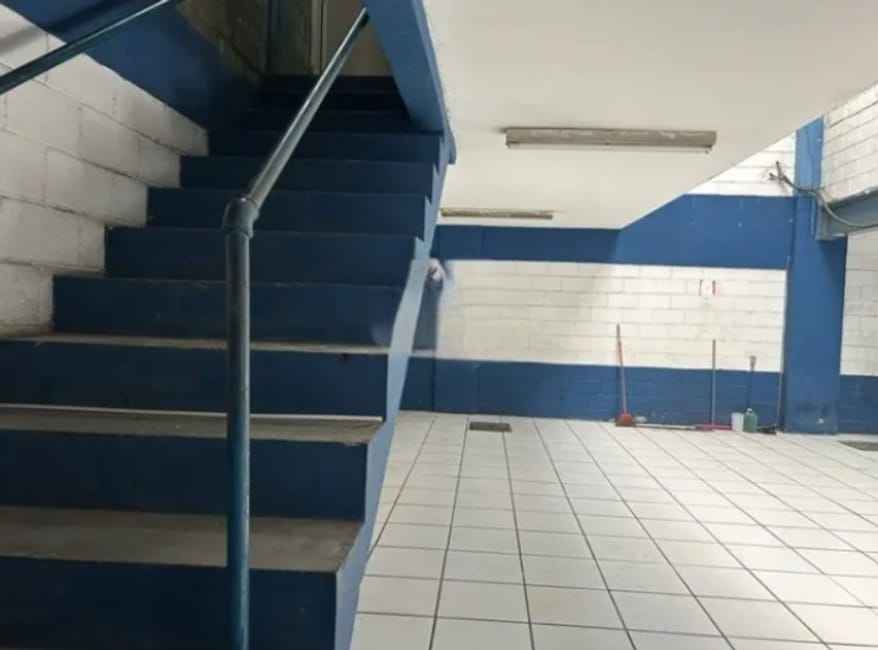 Imagem 11 - 35007639