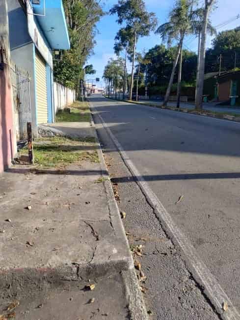 Imagem 4 - 35010282