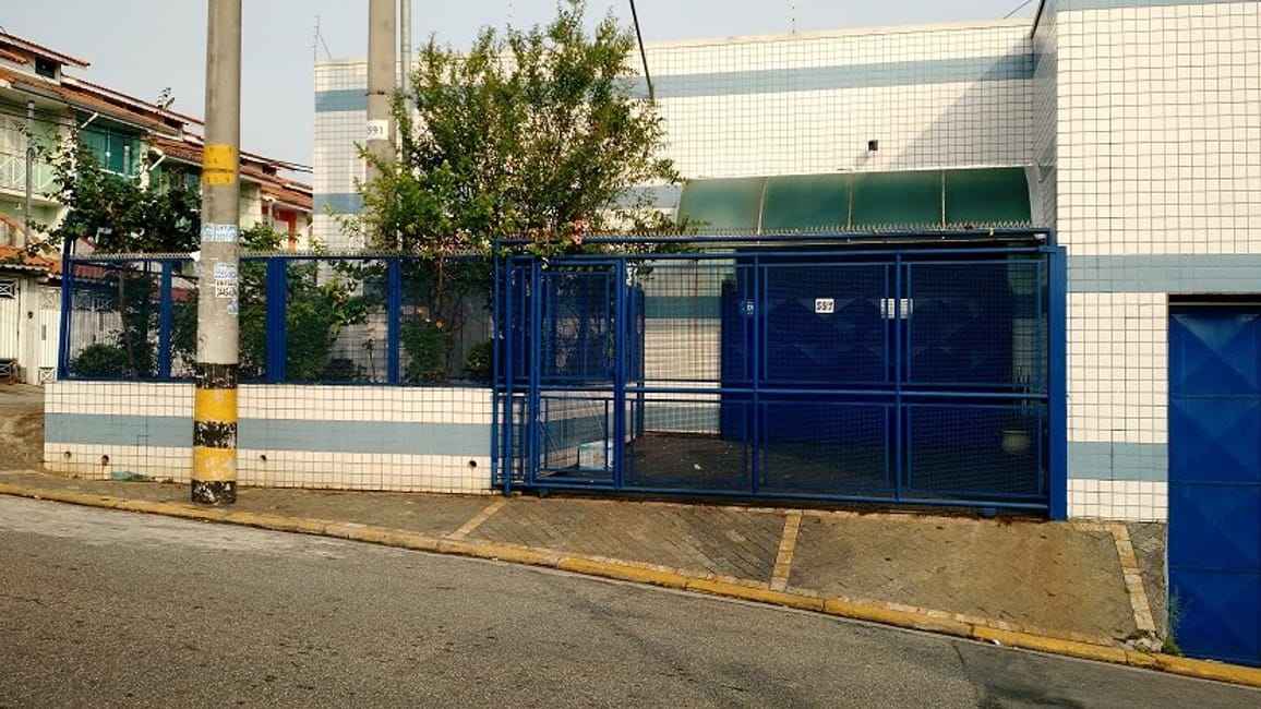 Imagem 3 - 35010300