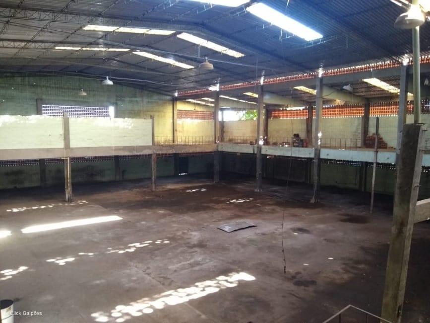 Imagem 36 - 32059277