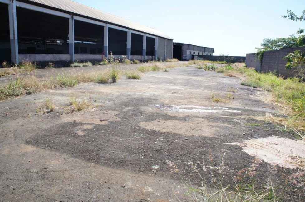 Imagem 10 - 33186729