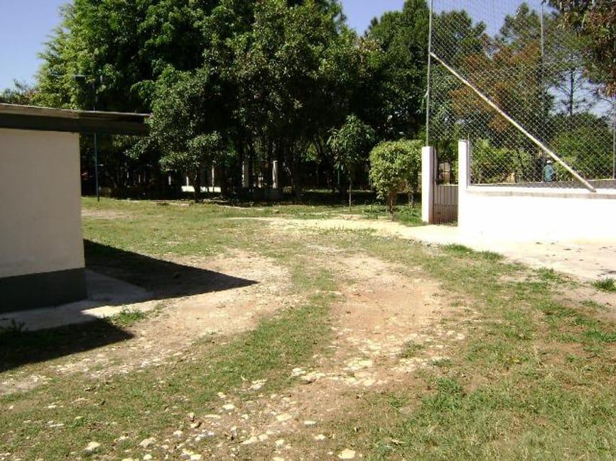 Imagem 12 - 32059331