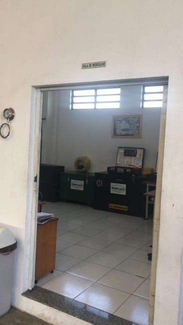 Imagem 11 - 75073252