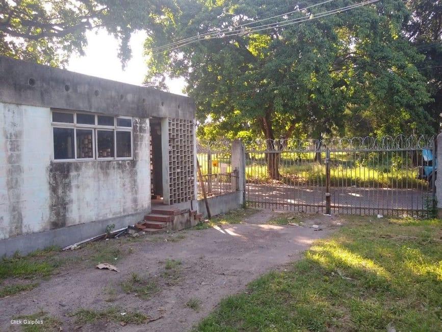 Imagem 38 - 32059277