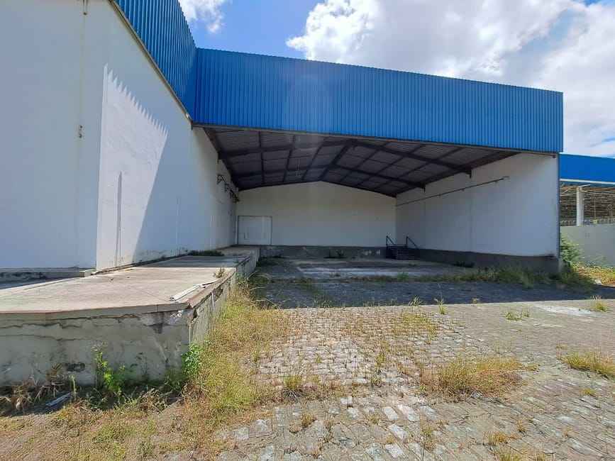 Imagem 12 - 35006699