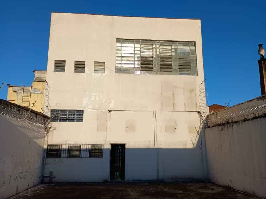 Imagem 12 - 35007582