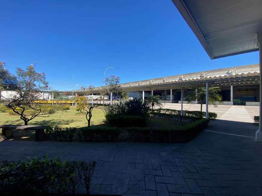 Imagem 12 - 32058687