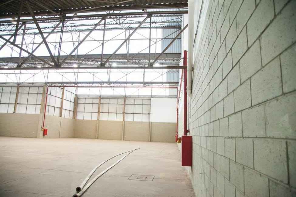 Imagem 54 - 35008083