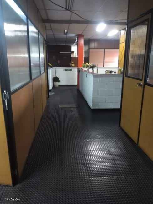 Imagem 26 - 70994469