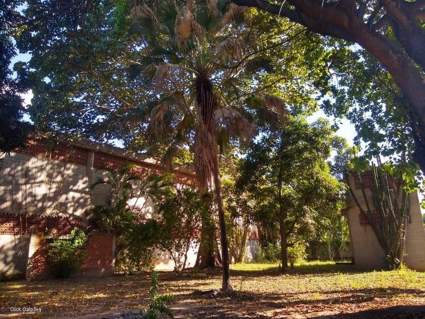 Imagem 51 - 32059277