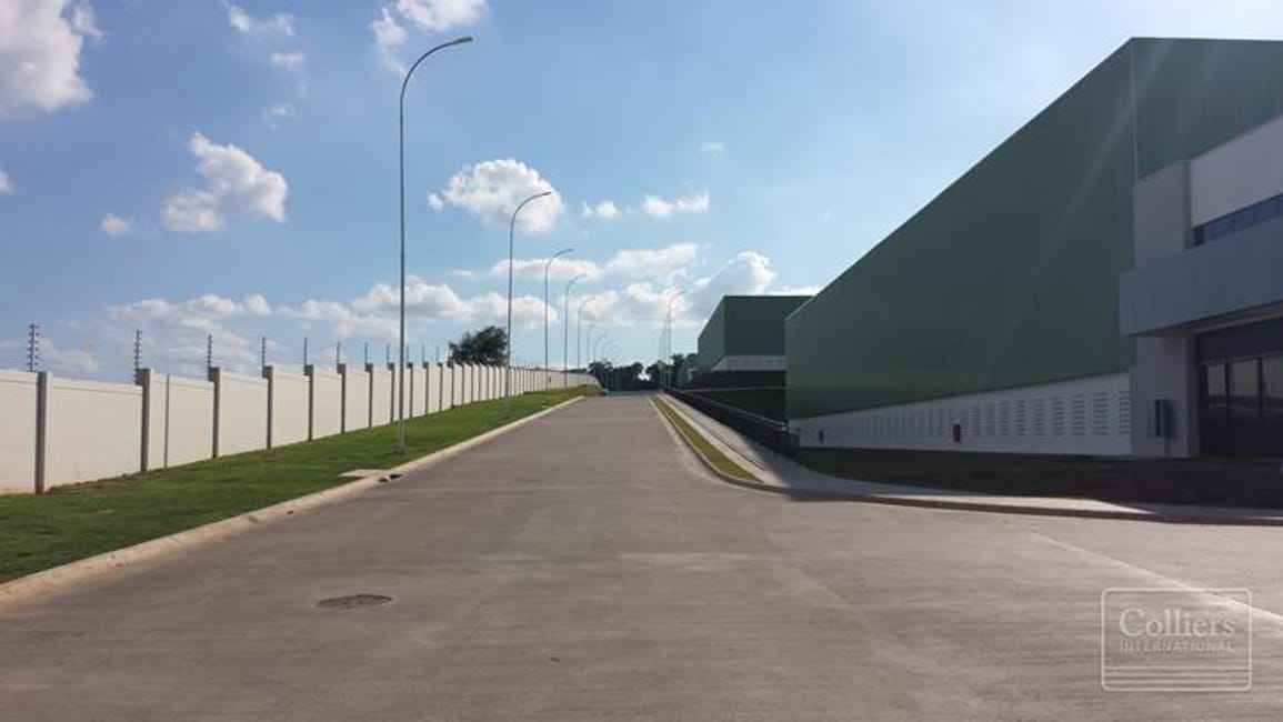 Imagem 13 - 74259691