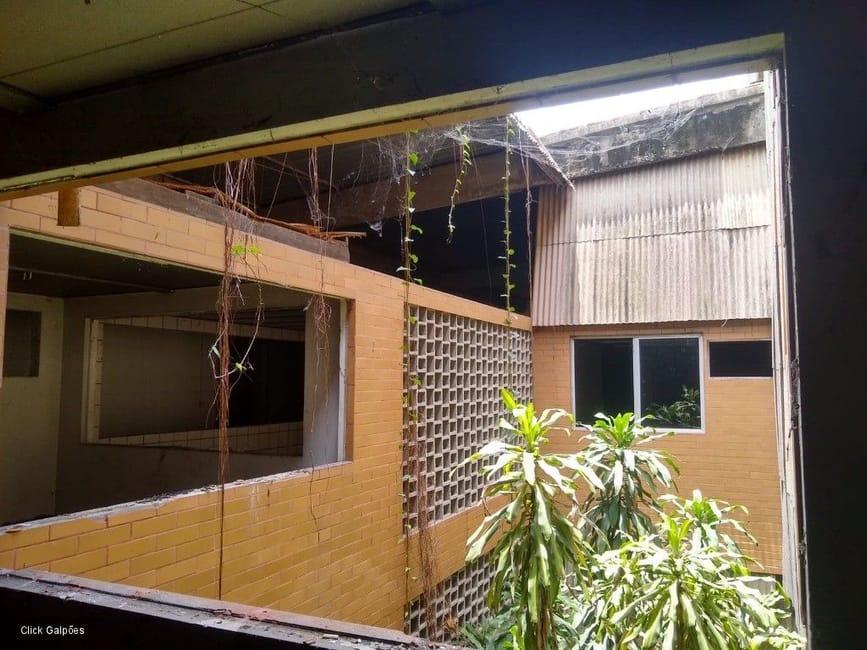 Imagem 13 - 32059277