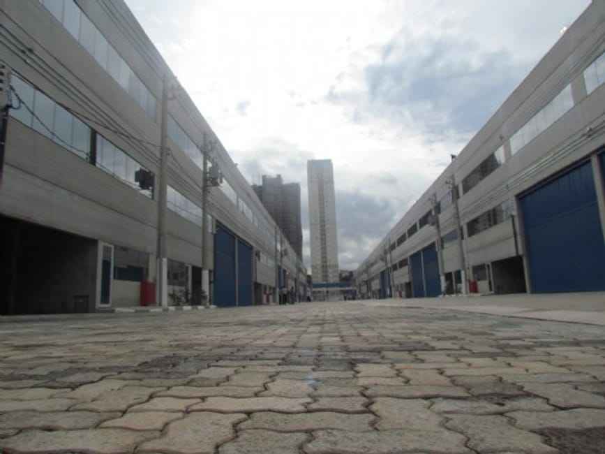 Imagem 13 - 32058504