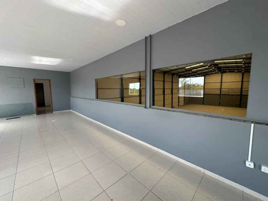 Imagem 11 - 74260539