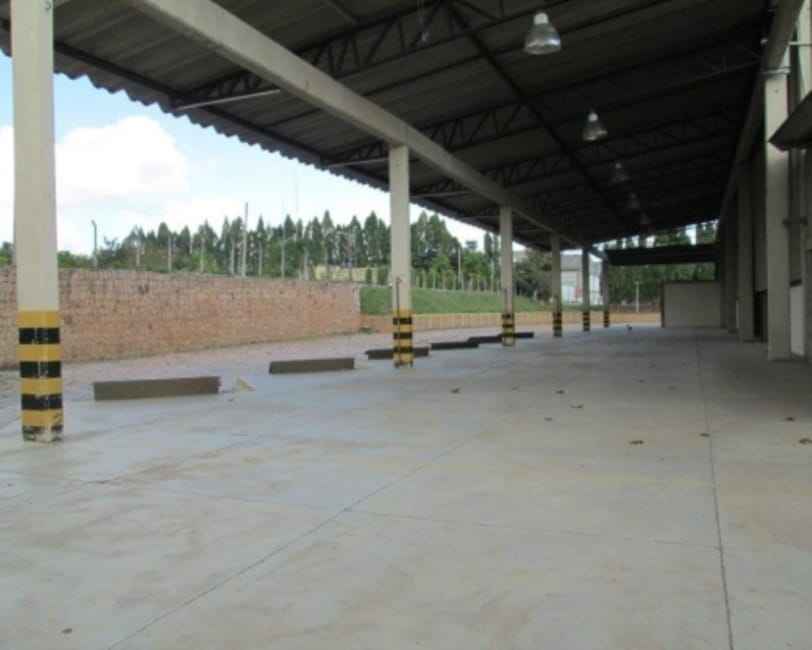 Imagem 33 - 32059016